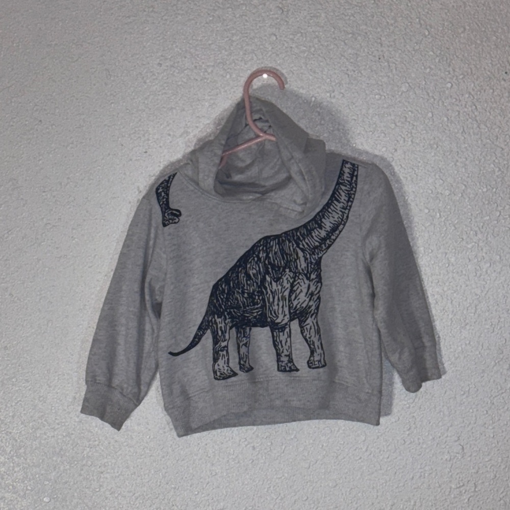 Kids Gray Dinosaur Hoodie